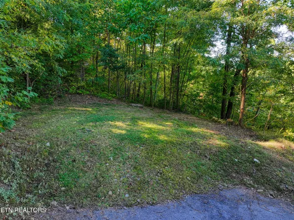 1020 Pine Top Ln Lot 10, Gatlinburg, TN 37738