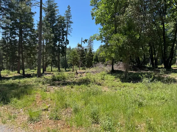 20710 Foresthill Rd, Foresthill, CA 95631