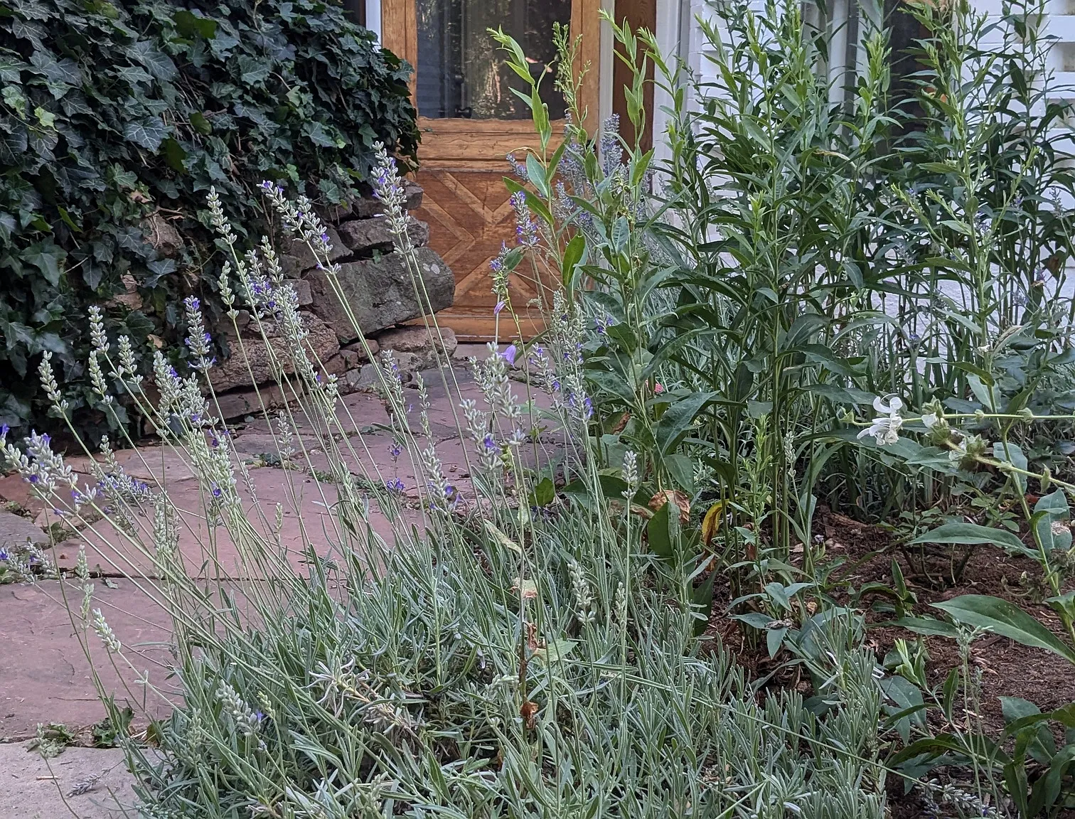 Marine St, Boulder — Photo 1