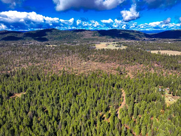 Nhn S Ferndale Dr, Bigfork, MT 59911