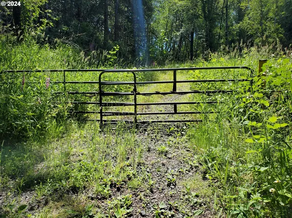 Stewart Creek Rd, Clatskanie, OR 97016