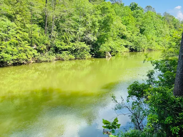 Jim Davis Rd, Arley, AL 35541