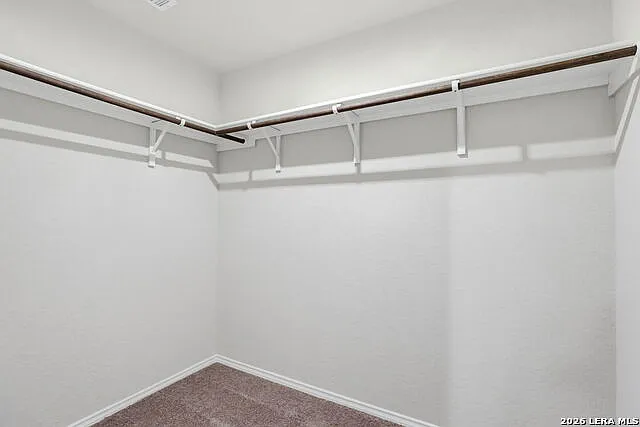10534 Borlaug St — Photo 15