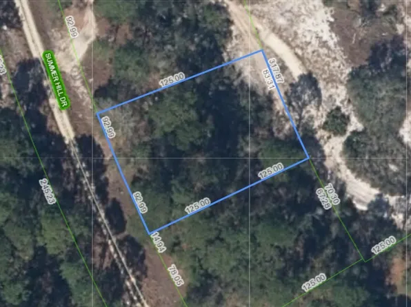 359 Summer Hill Dr, Lake Placid, FL 33852