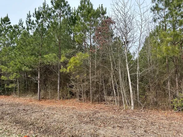 Morattico Rd, Lively, VA 22507