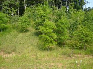 0 Summit Dr, Ellijay, GA 30536