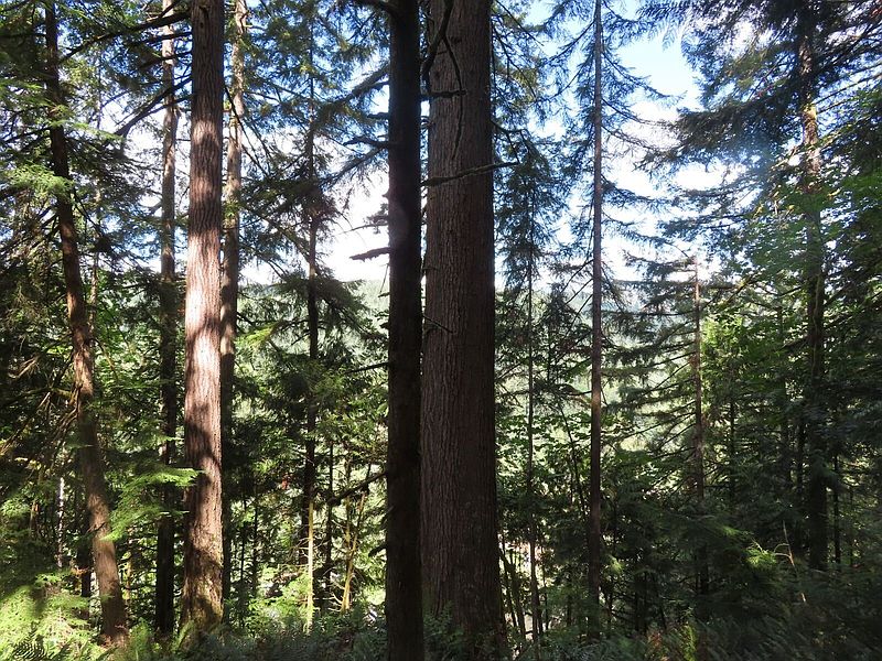 3rd image of 0 Fallert Road