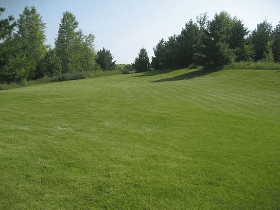 Large yard for the kids