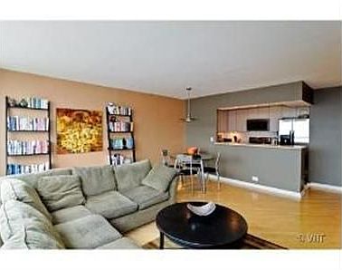4th image of 1255 N Sandburg Ter APT 2909