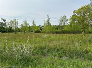 0 Alpine Rd, Riley, MI 48041