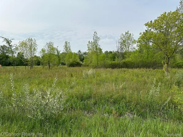0 Alpine Rd, Riley, MI 48041