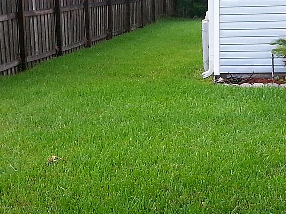 3rd image of 1998 Willesdon Dr W
