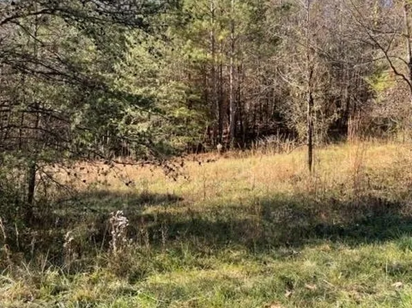 0 Andrews Subdivision, Lavonia, GA 30553