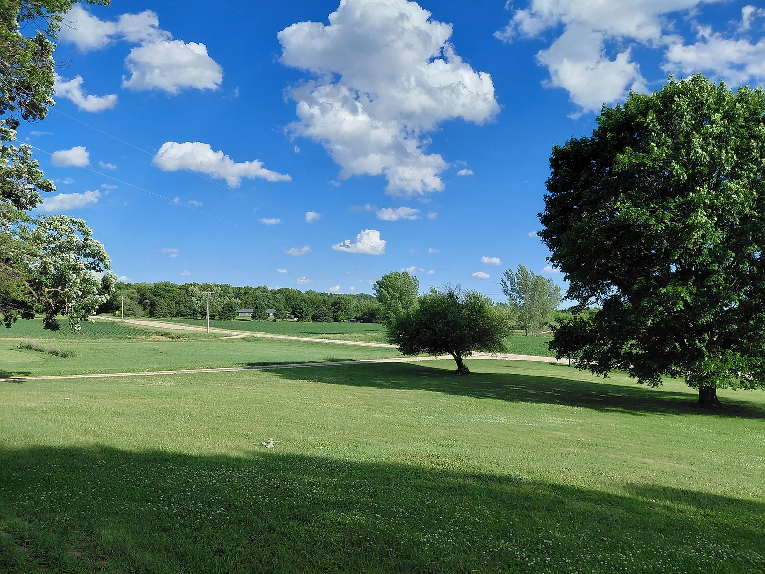 County Road Mn, Mc Farland — Photo 3