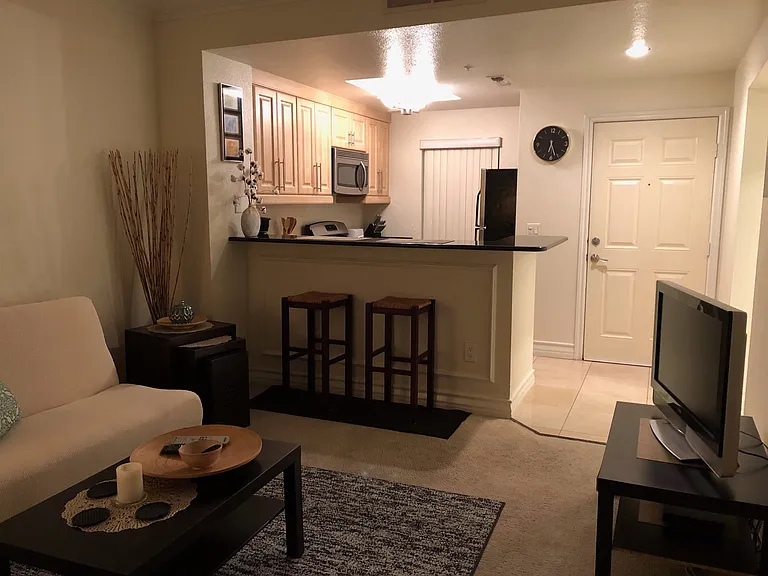 230 E Flamingo Rd #228 — Photo 8
