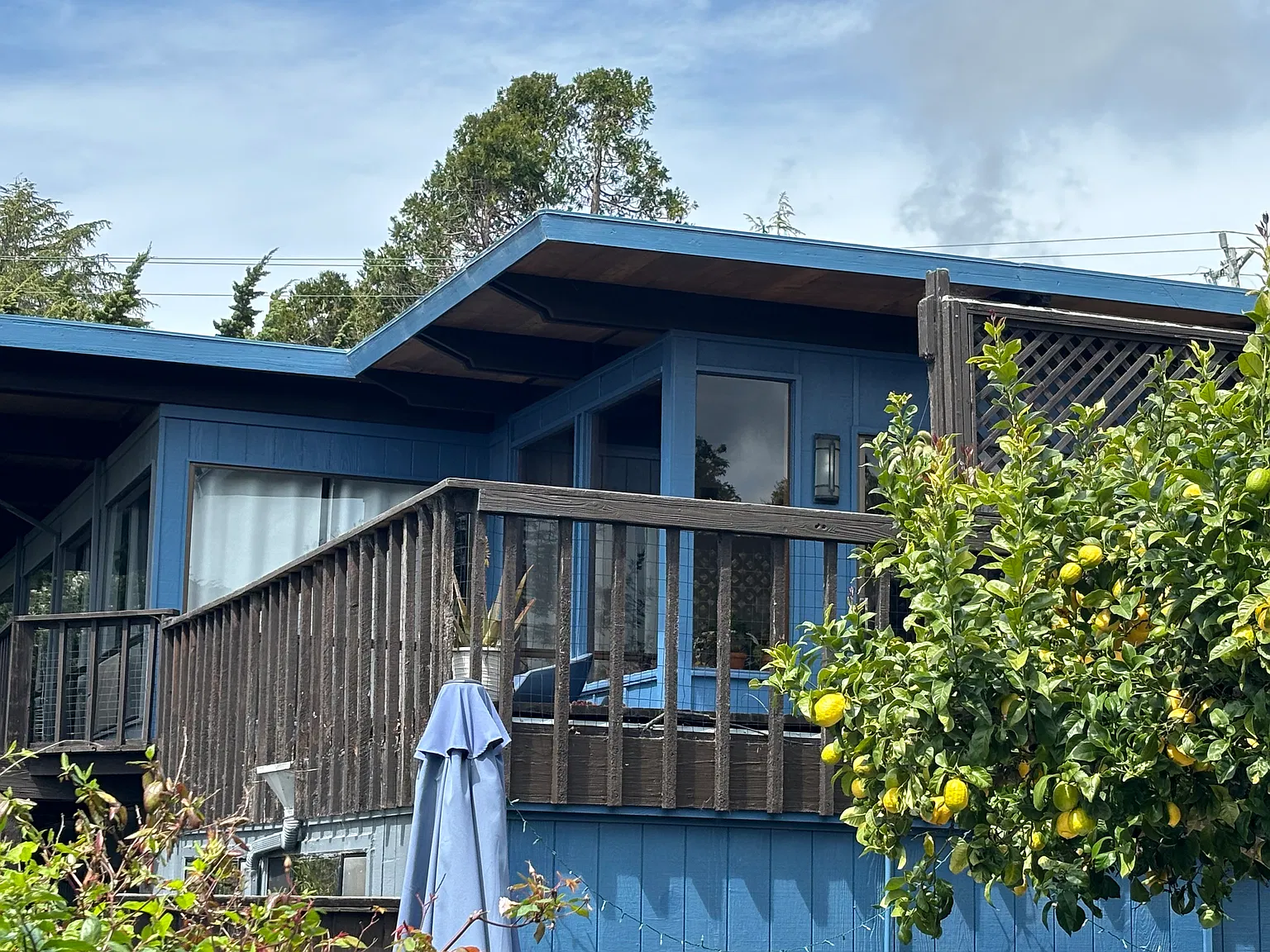 3196 Terrace Dr — Photo 4