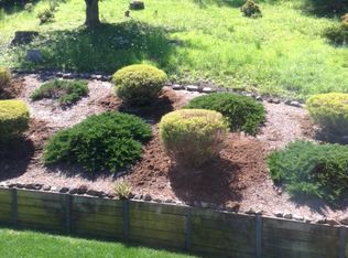 231 Reed St, Mill Valley, CA 94941