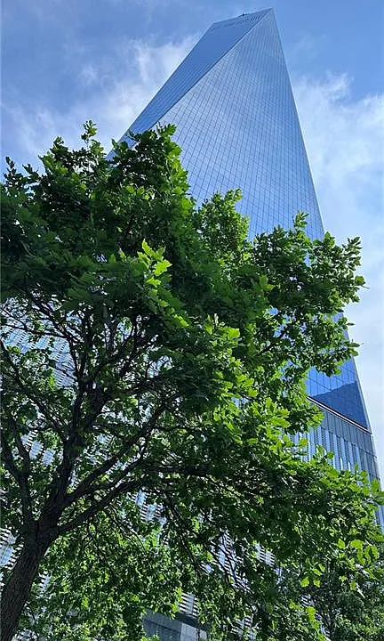 22 Windsor Ct #1