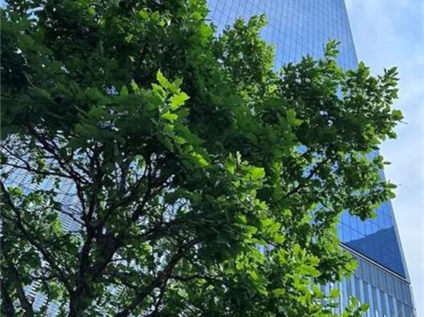 376 Broadway APT 7C, New York, NY 10013