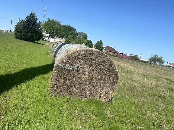 3rd image of 2 County Road 496