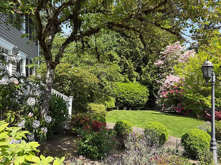 Landscaped and mature front yard (new lawn)