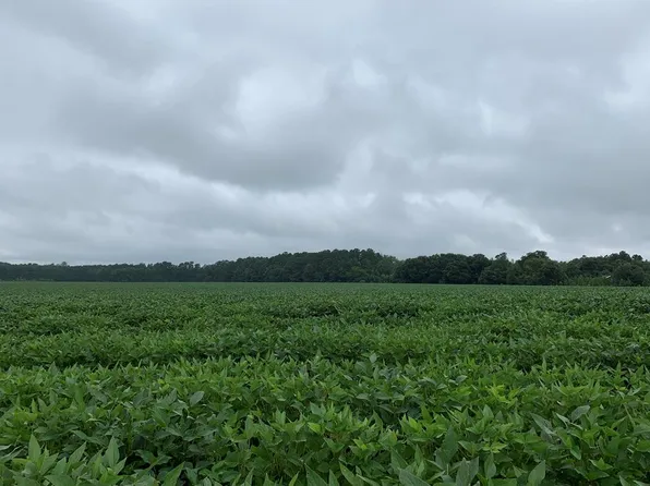 (undisclosed Address), Andrews, SC 29510