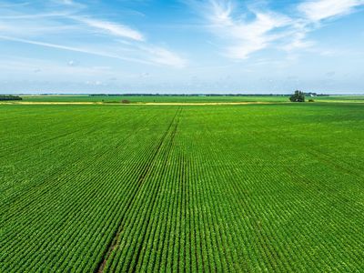 County Road 1, Mooreton, ND, 58061