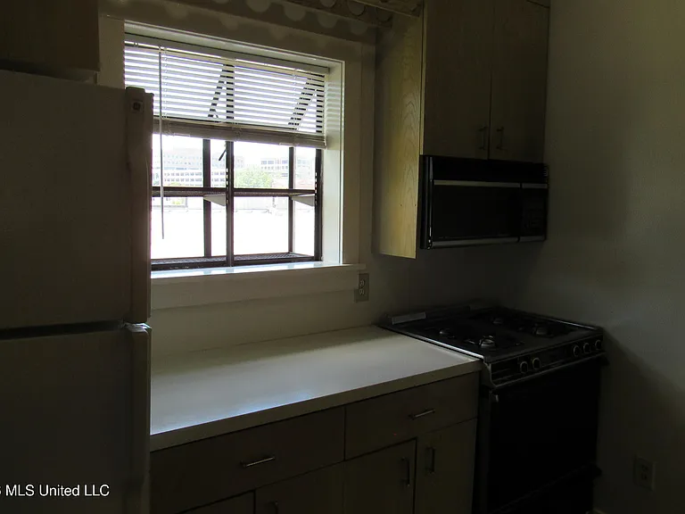 931 E Fortification St — Photo 17