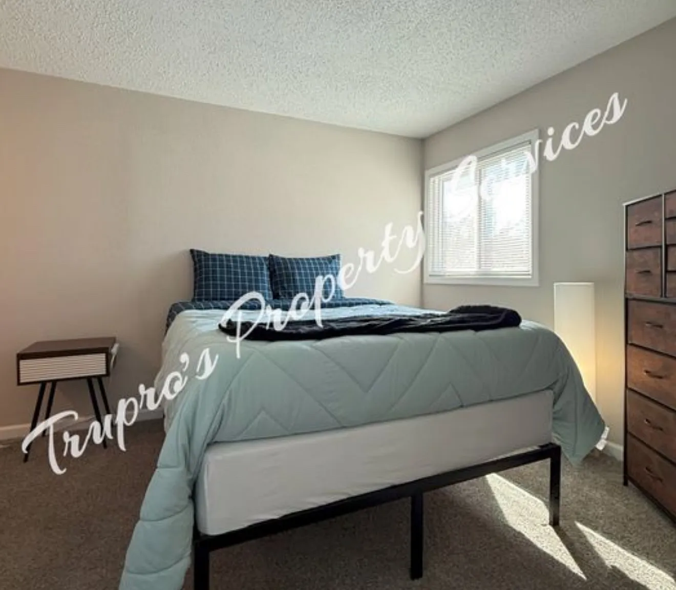 1 bed, $1,175 — Photo 2