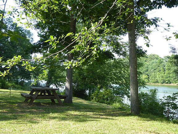 Picnic in the shaded yard