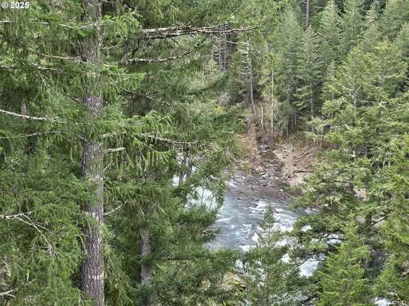 Boulder Ridge Dr #3, Carson, WA 98610