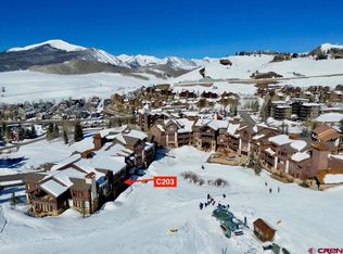 14 Hunter Hill Rd #C-203, Crested Butte, CO 81224