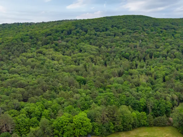 106 New Marlboro Southfield Rd, New Marlborough, MA 01230