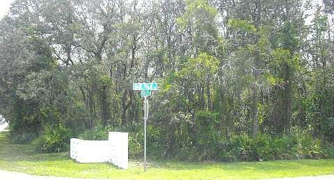 2nd image of 4835 Date Palm Dr