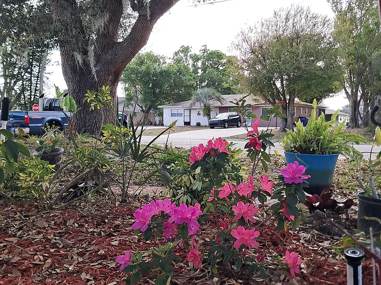 4208 Ponce De Leon Blvd — Photo 21