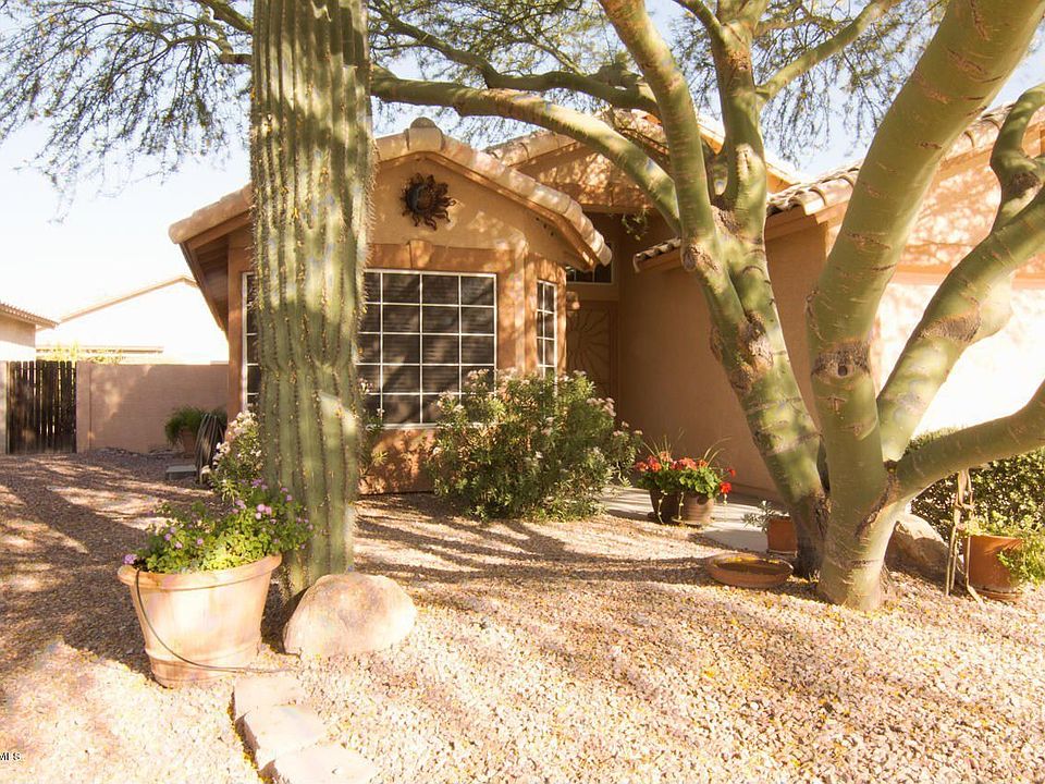 1st image of 9133 N Palm Brook Dr