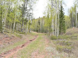 2411 Gold King Dr, Cripple Creek, CO 80813