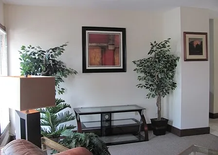 207 Williams St #2 — Photo 4
