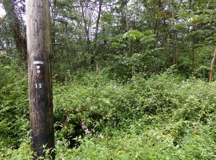 Pakalana Rd LOT 314, Pahoa, HI 96778