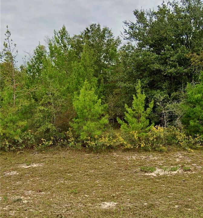 1st image of Delft Dr