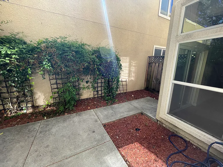 Sideyard - 1