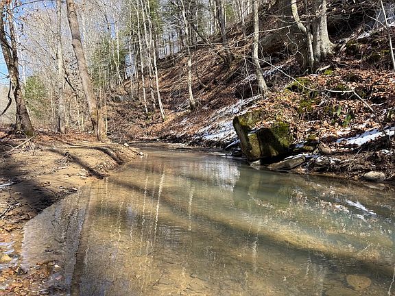 View of Laurel Fork in the upper reaches along the northeast area of the property