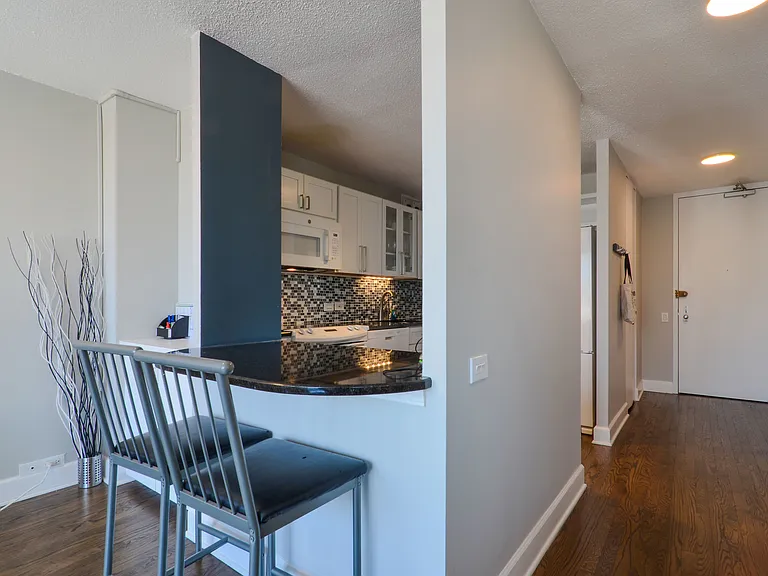 405 N Wabash Ave #4412 — Photo 5