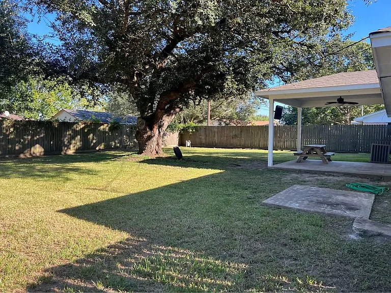 The Backyard