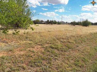 113 Lynn Ave, Clovis, NM 88101