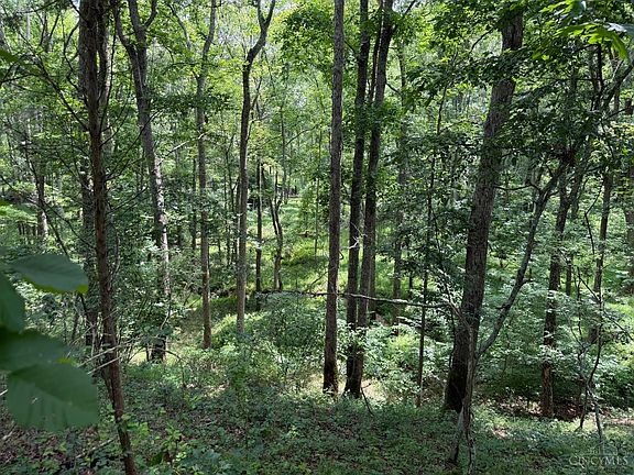 5th image of 1323 Beaver Pond Rd