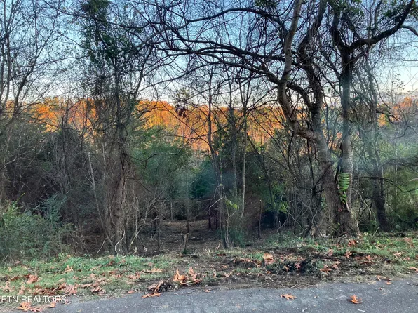 LOT 19 English Fields Dr, Newport, TN 37821