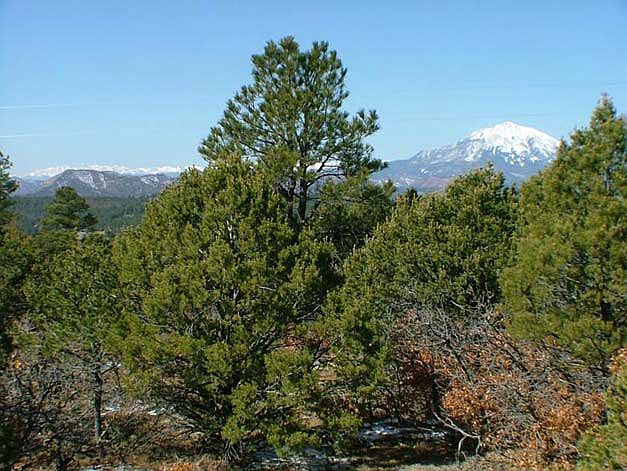 1st image of 139 Fishers Peak