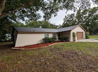 11308 Echo View Dr, Odessa, FL 33556