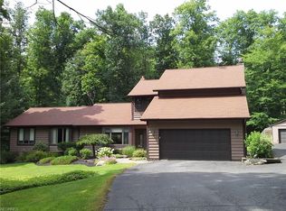 10972 Shadowood Dr, Newbury, OH 44065